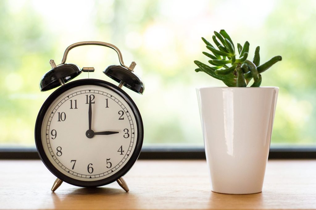 clock on table next to plant