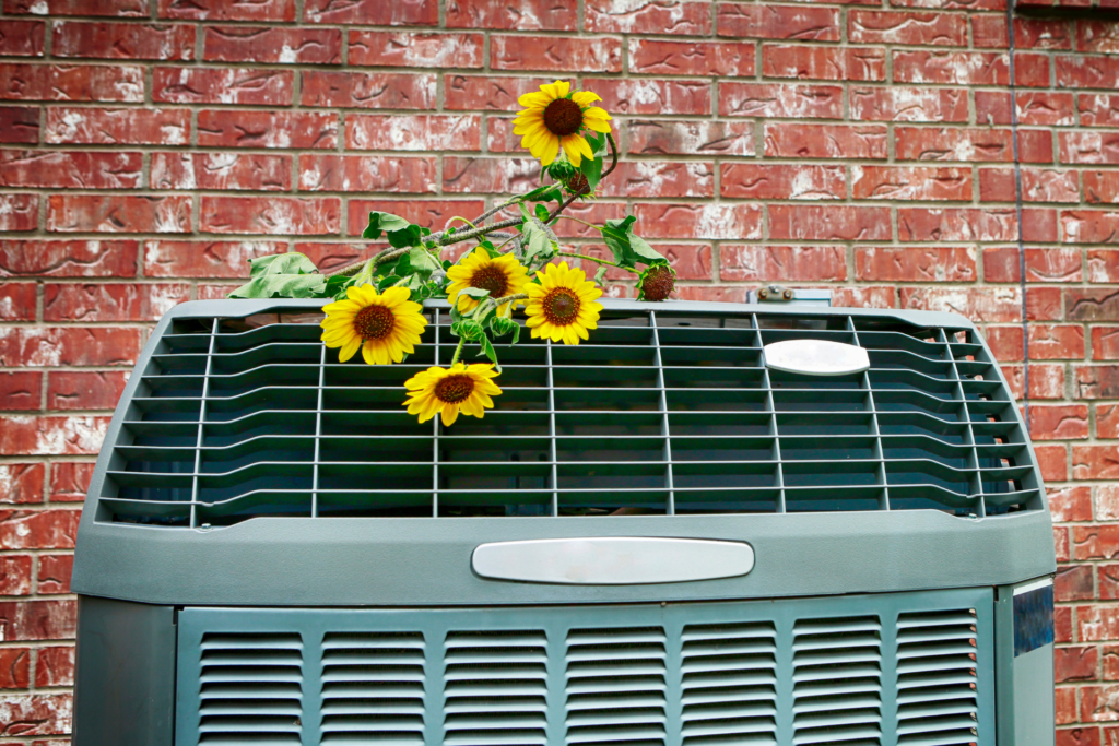 air conditioning outside unit with sunflowers on top